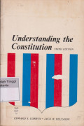 Understanding the constitution